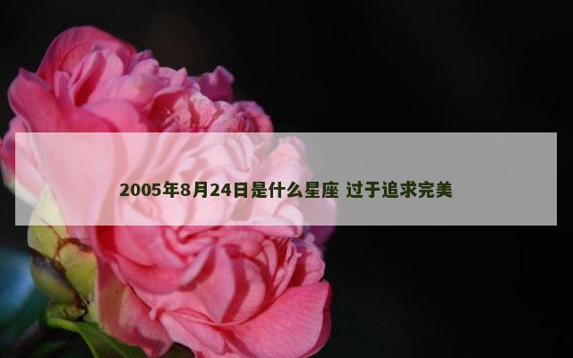 2005年8月24日是什么星座 过于追求完美