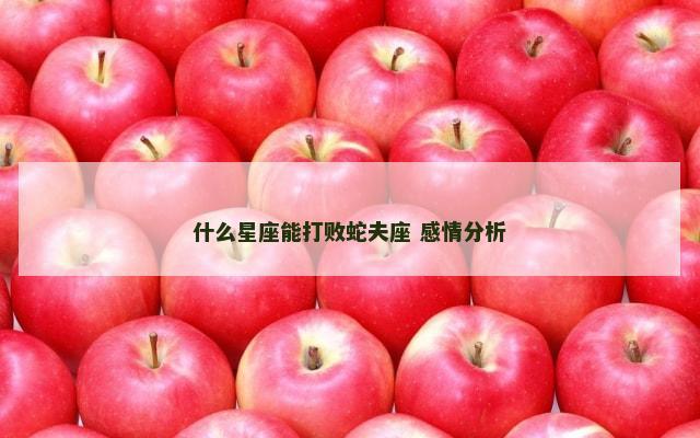 什么星座能打败蛇夫座 感情分析