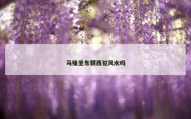 马桶坐东朝西犯风水吗
