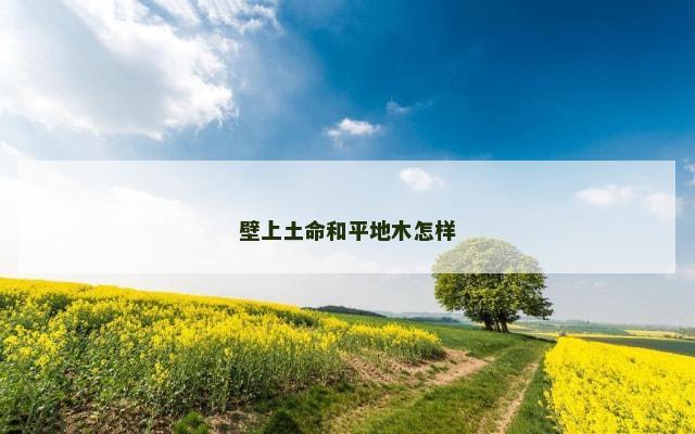 壁上土命和平地木怎样