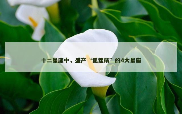 十二星座中，盛产“狐狸精”的4大星座