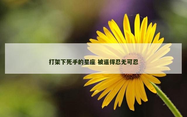 打架下死手的星座 被逼得忍无可忍