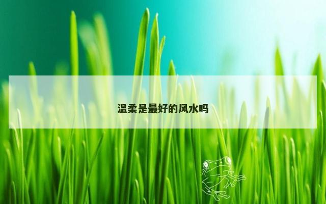 温柔是最好的风水吗