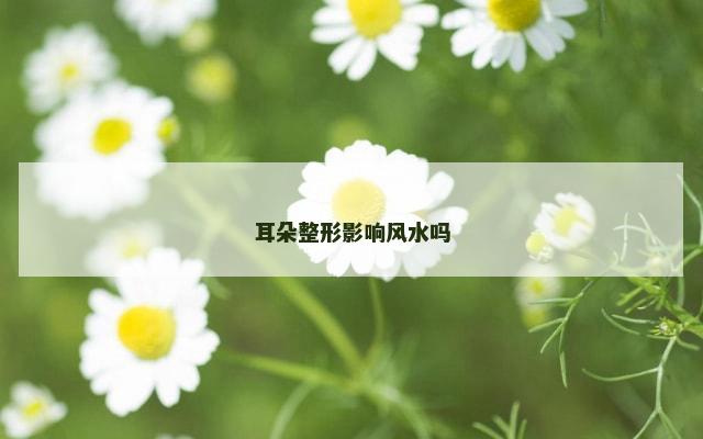 耳朵整形影响风水吗