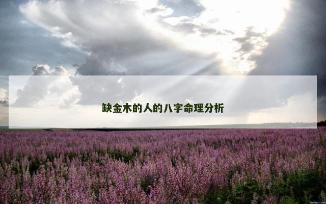 缺金木的人的八字命理分析