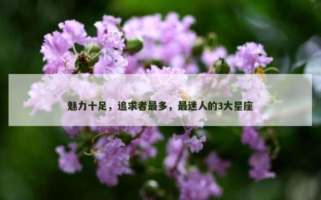 魅力十足，追求者最多，最迷人的3大星座