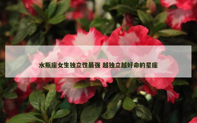 水瓶座女生独立性最强 越独立越好命的星座