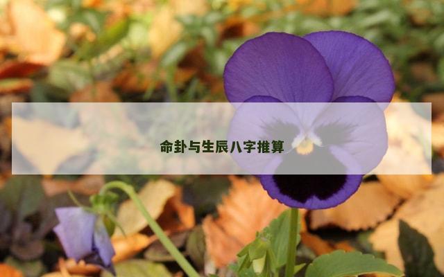 命卦与生辰八字推算