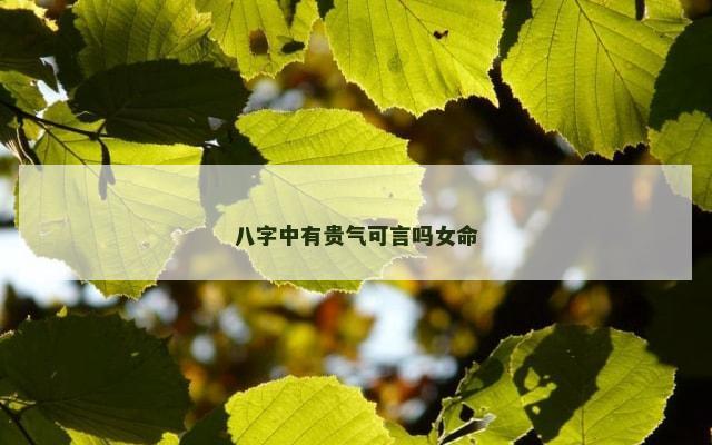 八字中有贵气可言吗女命