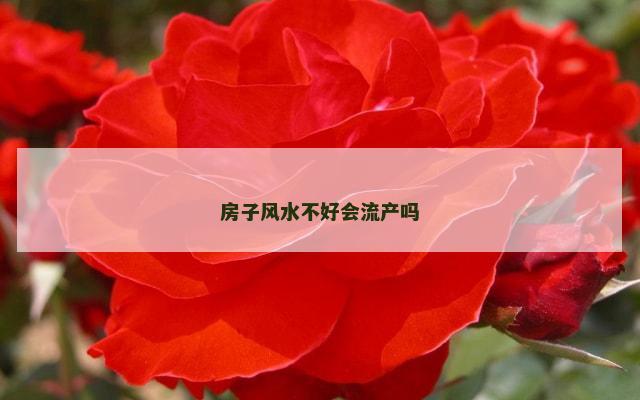 房子风水不好会流产吗