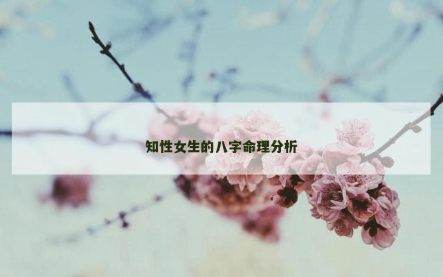 知性女生的八字命理分析