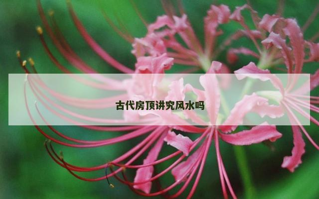 古代房顶讲究风水吗