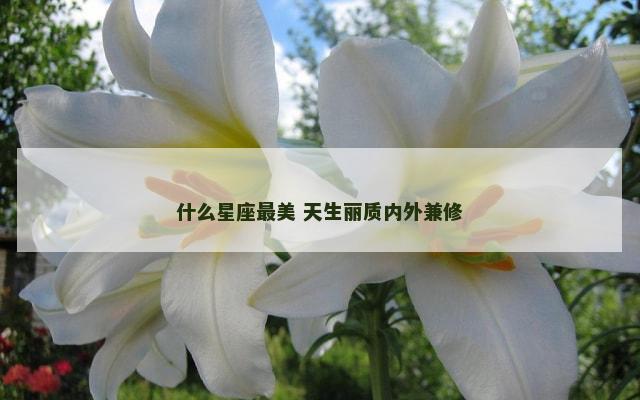 什么星座最美 天生丽质内外兼修