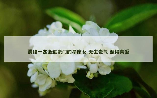最终一定会进豪门的星座女 天生贵气 深得喜爱
