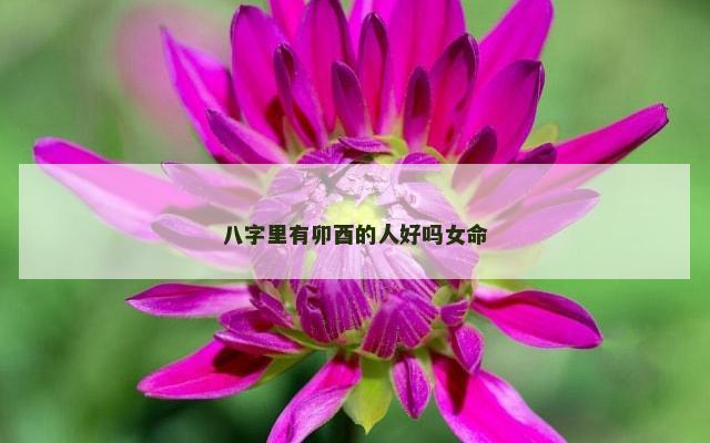 八字里有卯酉的人好吗女命