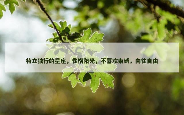 特立独行的星座，性格阳光，不喜欢束缚，向往自由