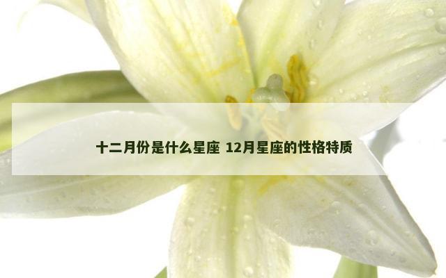 十二月份是什么星座 12月星座的性格特质