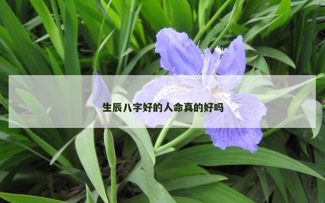 生辰八字好的人命真的好吗