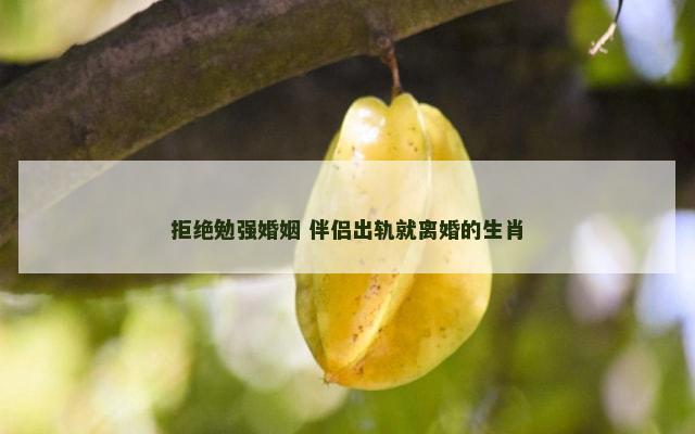 拒绝勉强婚姻 伴侣出轨就离婚的生肖