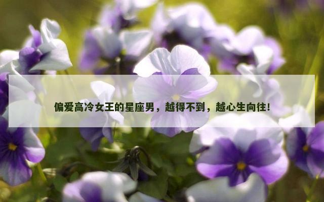 偏爱高冷女王的星座男，越得不到，越心生向往！