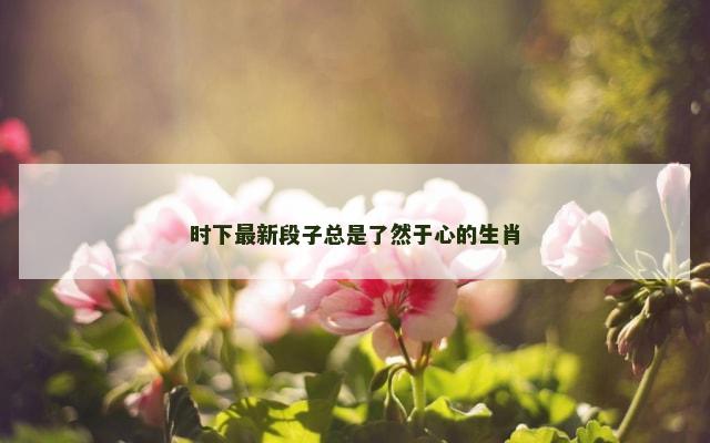 时下最新段子总是了然于心的生肖