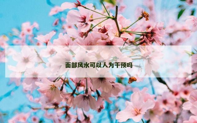 面部风水可以人为干预吗