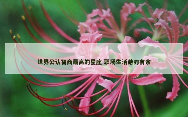 世界公认智商最高的星座 职场生活游刃有余