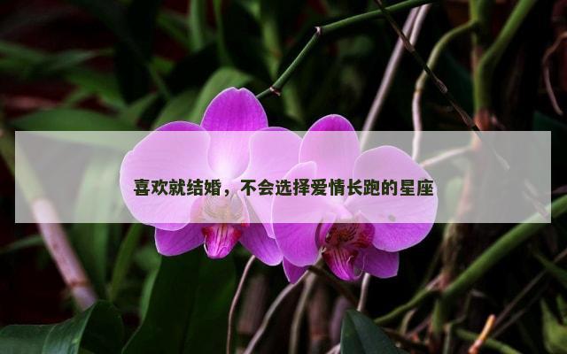 喜欢就结婚，不会选择爱情长跑的星座