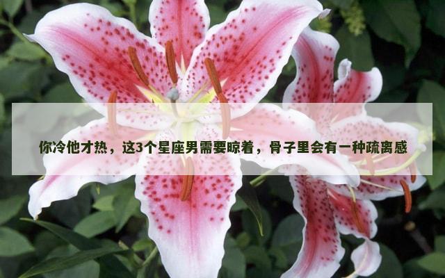 你冷他才热，这3个星座男需要晾着，骨子里会有一种疏离感