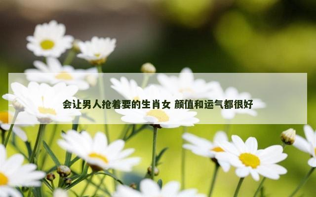 会让男人抢着要的生肖女 颜值和运气都很好