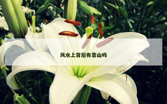 风水上背后有靠山吗