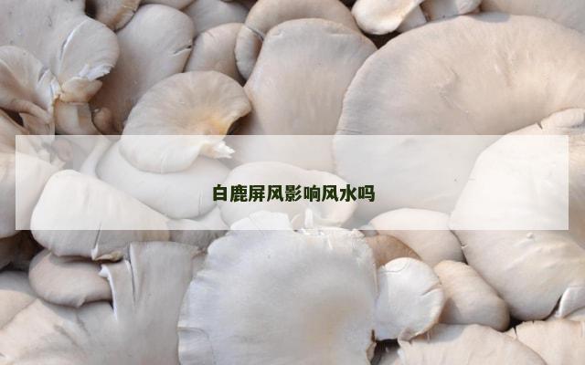 白鹿屏风影响风水吗
