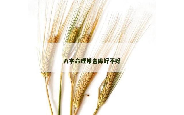 八字命理带金库好不好