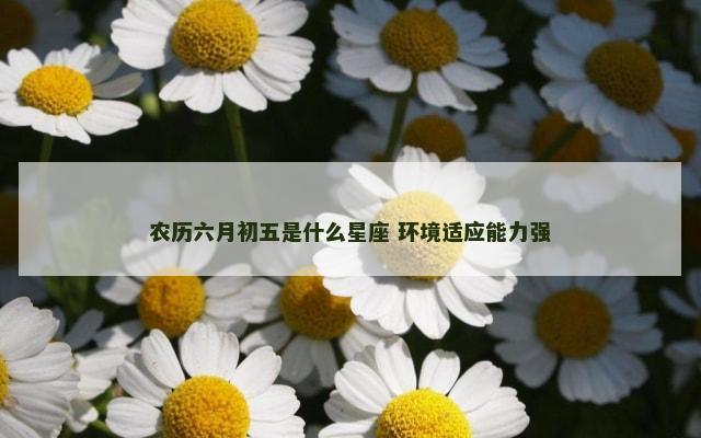 农历六月初五是什么星座 环境适应能力强