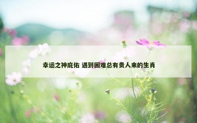 幸运之神庇佑 遇到困难总有贵人来的生肖