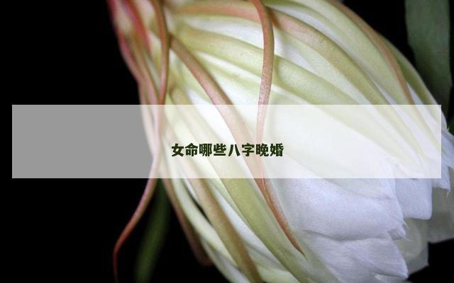 女命哪些八字晚婚