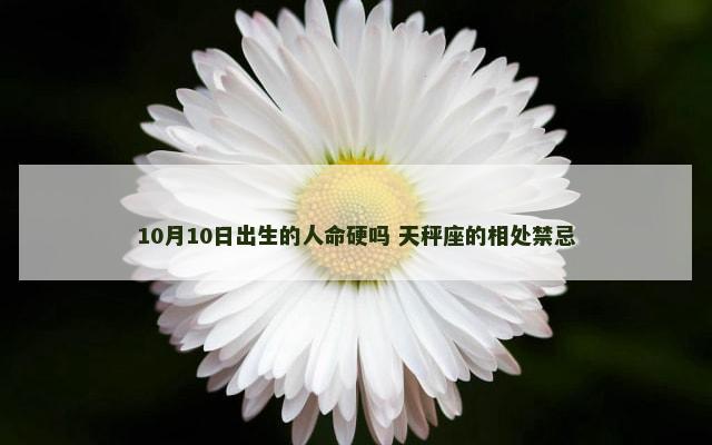 10月10日出生的人命硬吗 天秤座的相处禁忌
