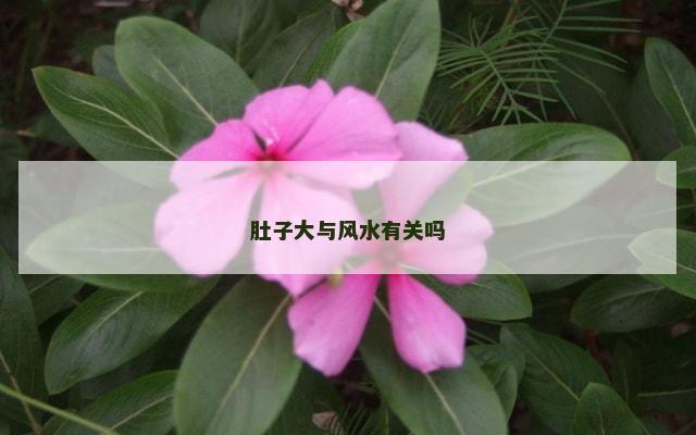 肚子大与风水有关吗