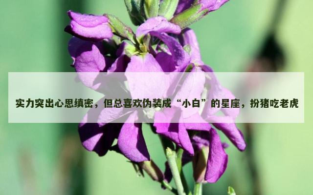实力突出心思缜密，但总喜欢伪装成“小白”的星座，扮猪吃老虎