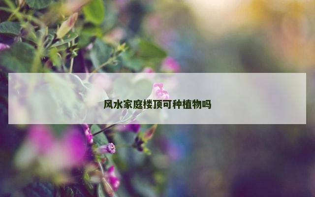风水家庭楼顶可种植物吗