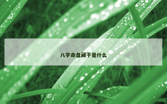 八字命盘藏干是什么
