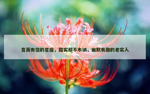言而有信的星座，踏实却不木讷，幽默有趣的老实人