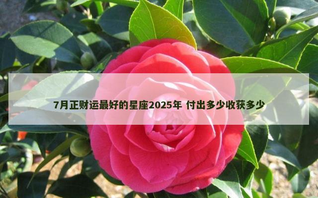 7月正财运最好的星座2025年 付出多少收获多少