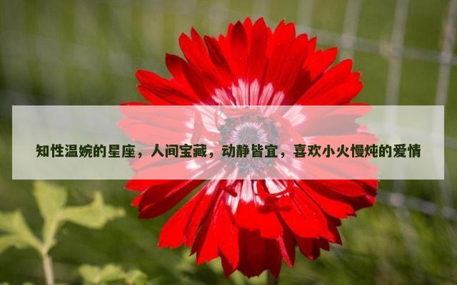 知性温婉的星座，人间宝藏，动静皆宜，喜欢小火慢炖的爱情