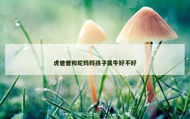 虎爸爸和蛇妈妈孩子属牛好不好