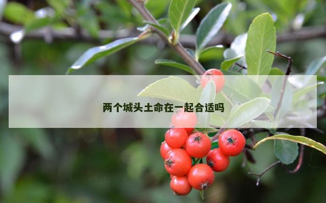 两个城头土命在一起合适吗