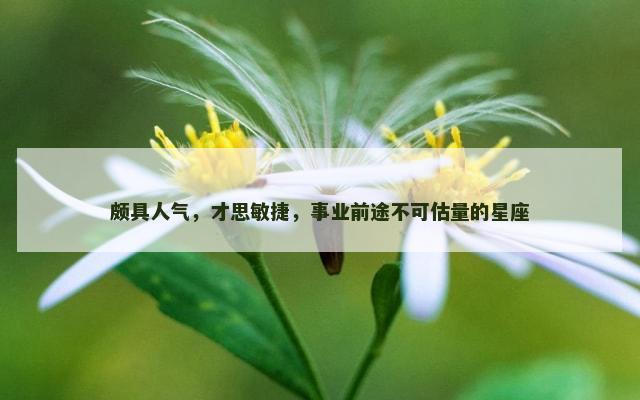 颇具人气，才思敏捷，事业前途不可估量的星座