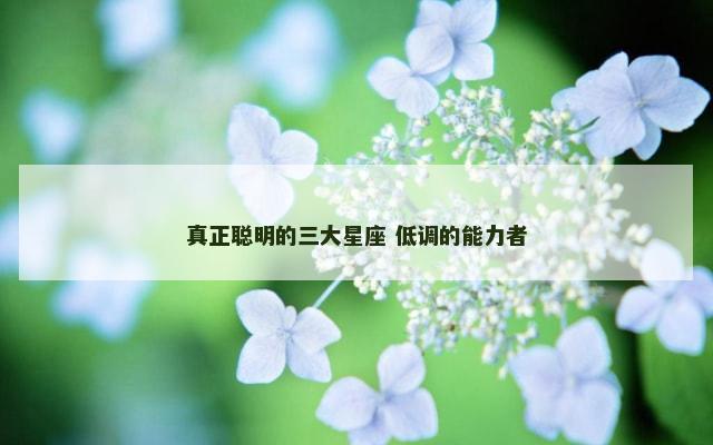 真正聪明的三大星座 低调的能力者