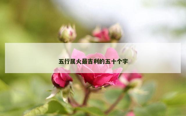 五行属火最吉利的五十个字