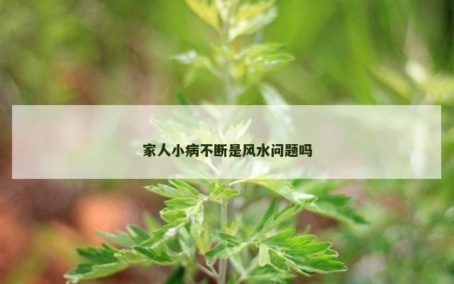 家人小病不断是风水问题吗